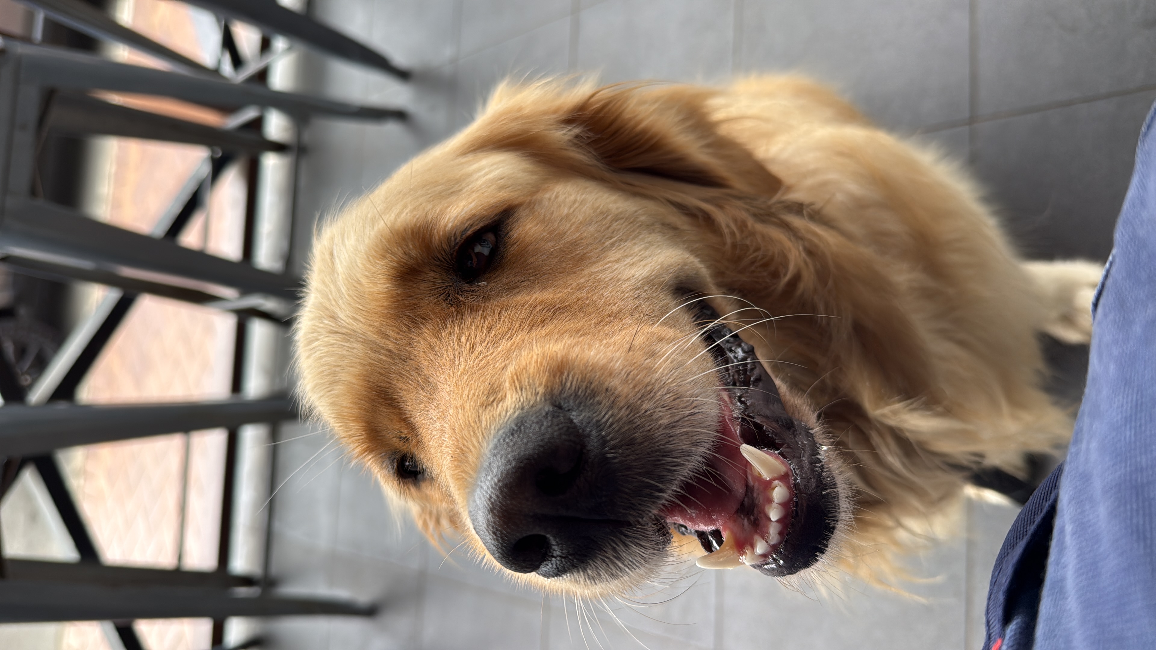 Maggie's beautiful smile